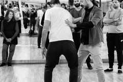 1.12.2019-seminario-Tai-Chi-Ronnie-Popper-113