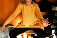 30.11.2019-seminario-Tai-Chi-Ronnie-Popper-104